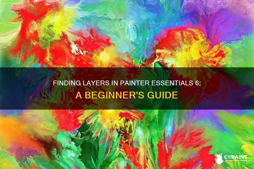 where are the layers in painter essentials 6