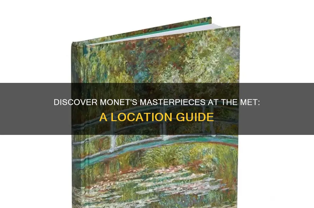 where are the monet paintings in the met