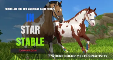 Exploring Star Stable: The Quest for New American Paint Horses
