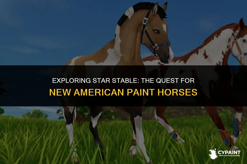 where are the new american paint horses in star stable
