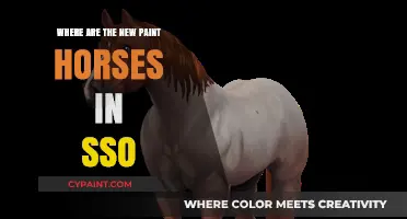 Discovering SSO's New Paint Horses: Locations and Tips