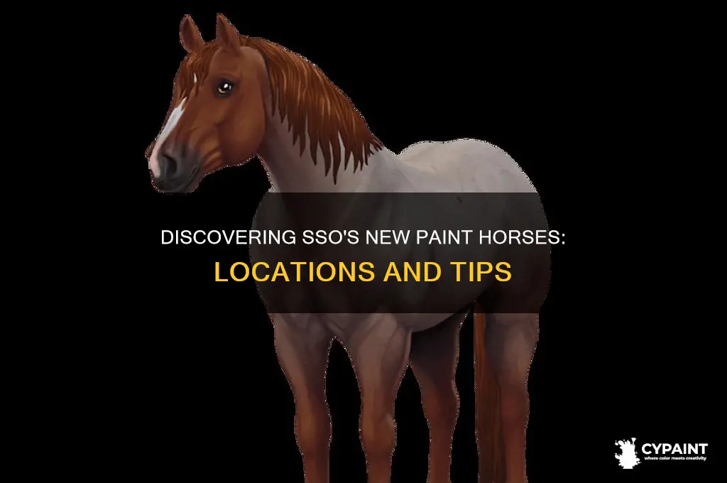 where are the new paint horses in sso