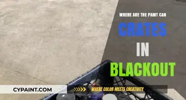 Unveiling the Mystery: Paint Can Crates in Blackout Locations