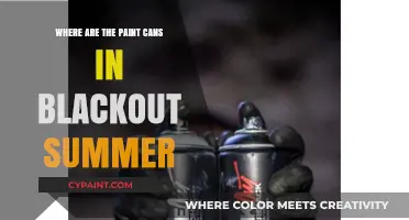 Unveiling the Mystery: Paint Cans in Blackout Summer