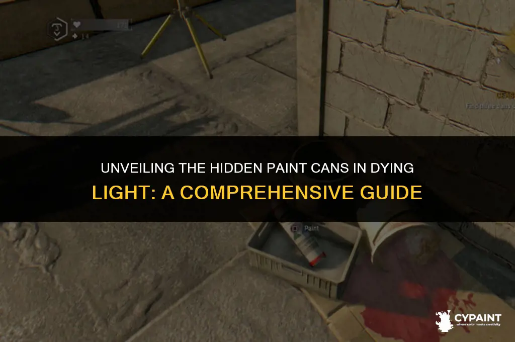 where are the paint cans in dying light