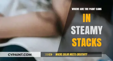 Unveiling the Mystery: Paint Cans in Steamy Stacks