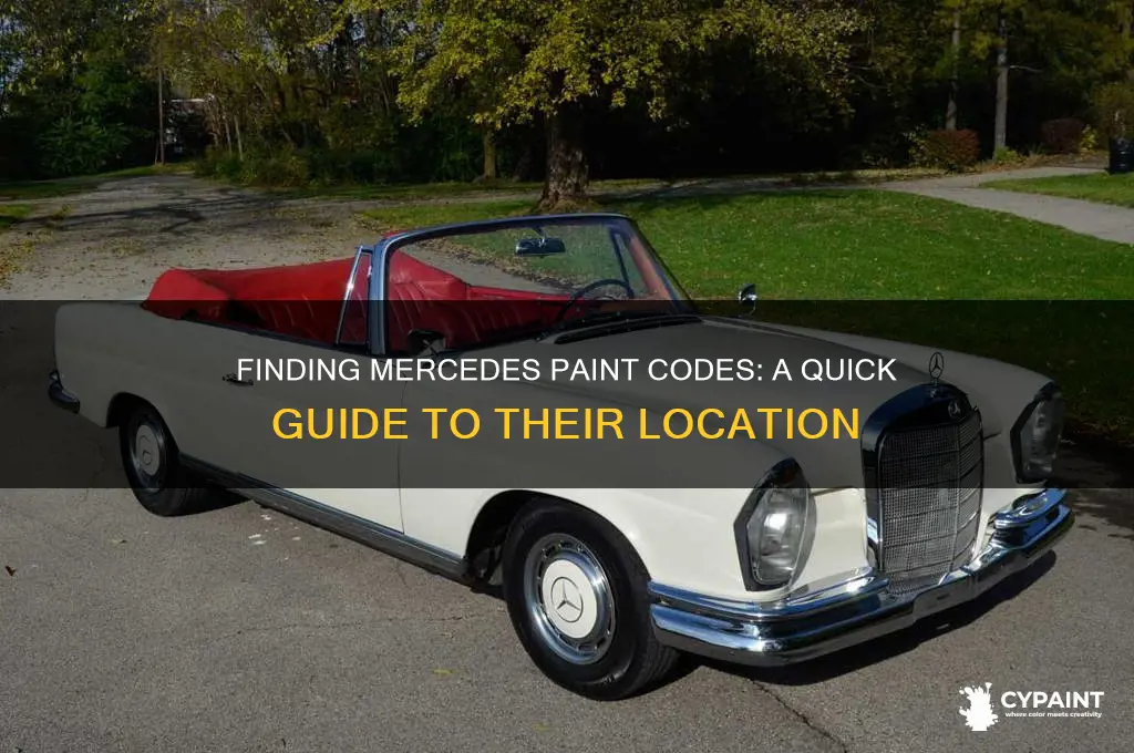 where are the paint codes at on mercedes