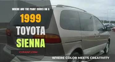 Decoding the Paint Codes on Your 1999 Toyota Sienna