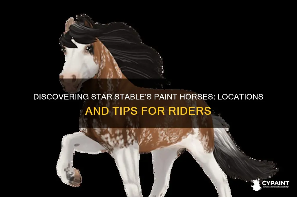 where are the paint horses in star stable