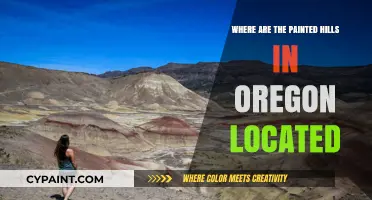 Discovering Oregon's Painted Hills: Location and Travel Guide