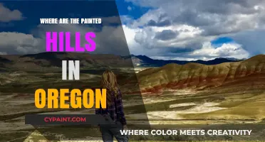 Discovering Oregon's Painted Hills: Location and Travel Guide