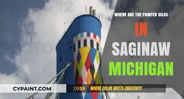 Discover Saginaw's Painted Silos: A Hidden Art Trail in Michigan