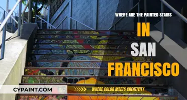 Discovering San Francisco's Vibrant Painted Stairs: A Local's Guide