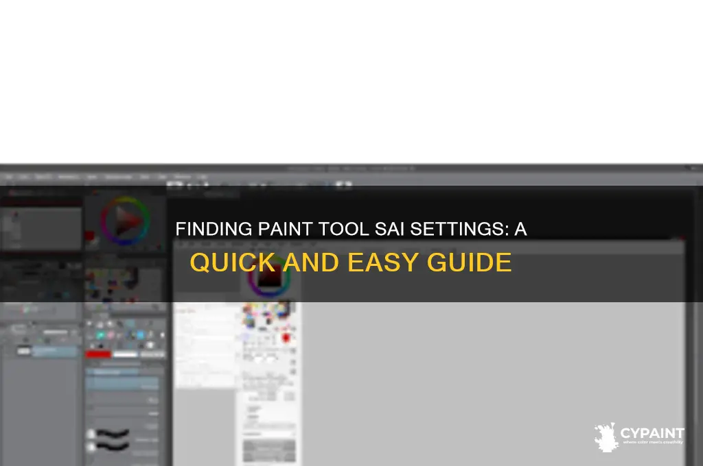 where are the settings in paint tool sai