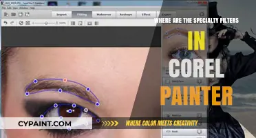 Locating Specialty Filters in Corel Painter: A Quick Guide