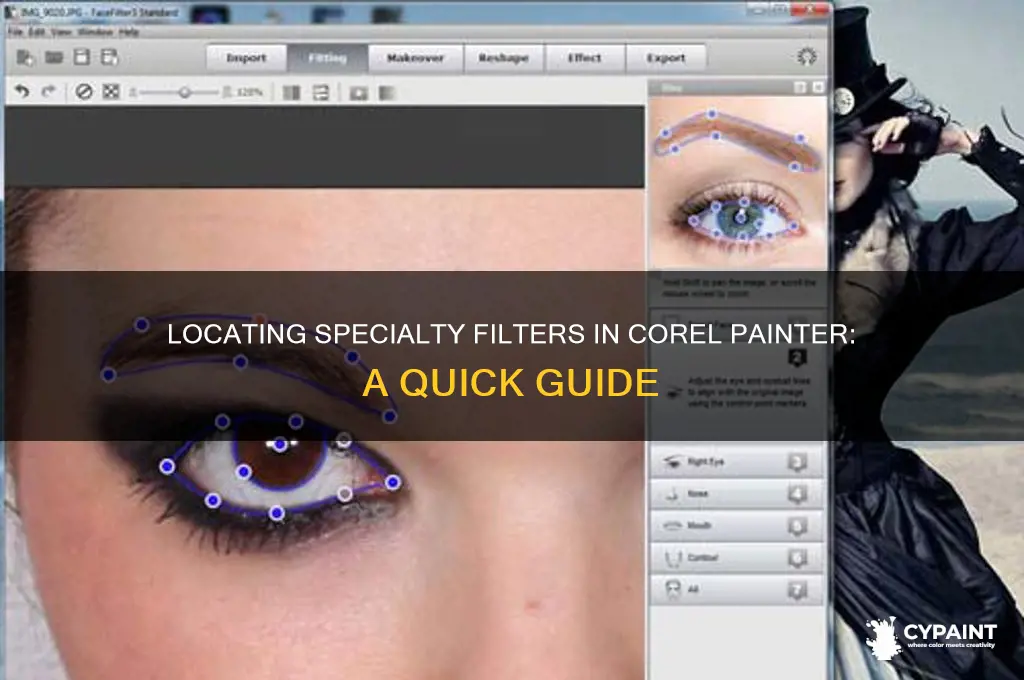 where are the specialty filters in corel painter