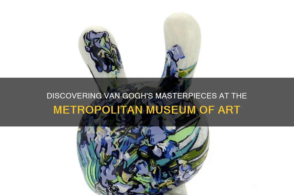 where are van gogh paintings in the met