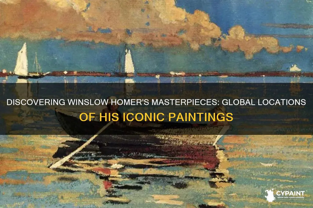 where are winslow homer paintings around the world