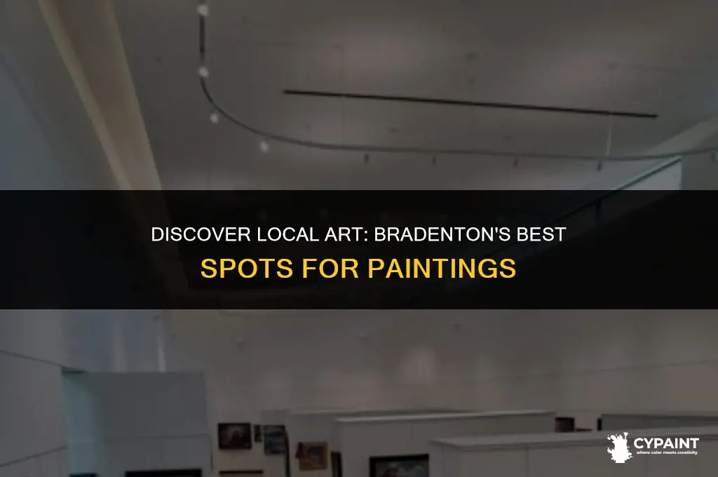 where art paintings by local artists displayed in bradenton fl