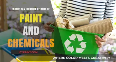 Eco-Friendly Disposal: Where to Safely Recycle Paint and Chemicals