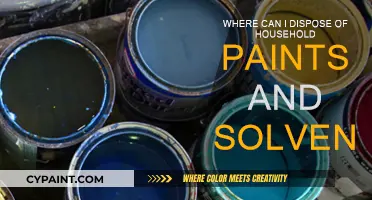Dispose of Household Paints and Solvents Safely and Responsibly