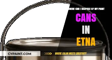 Eco-Friendly Paint Can Disposal Options in Etna: A Comprehensive Guide