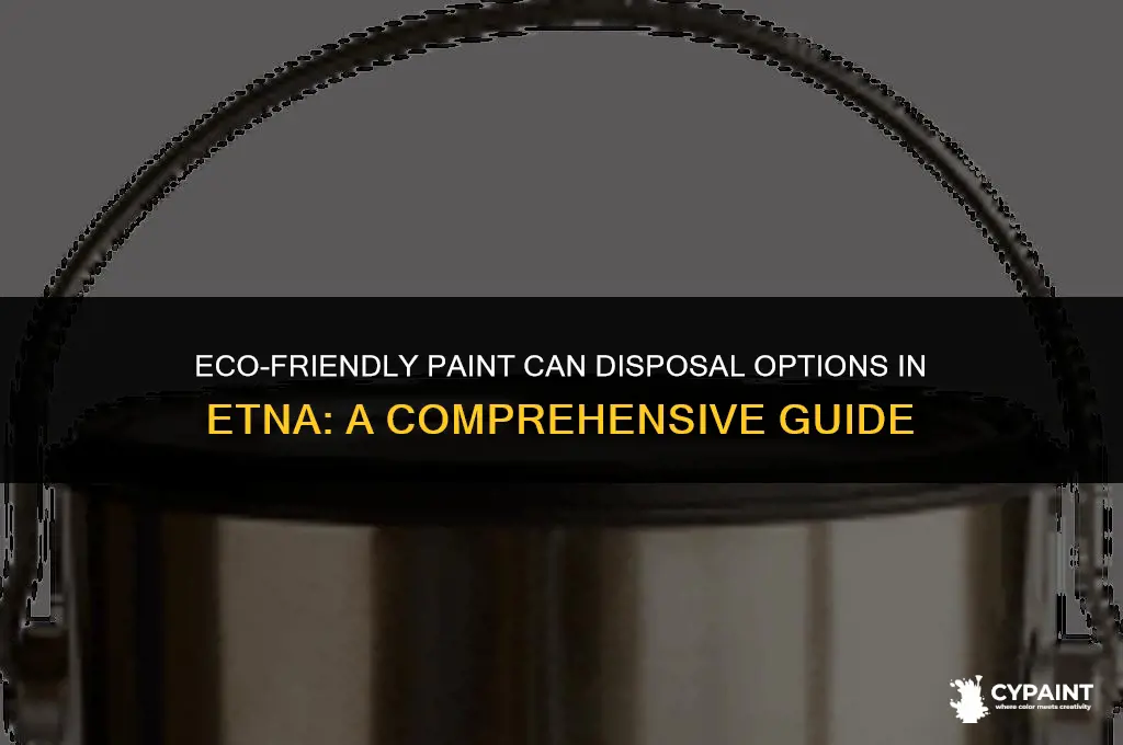 where can i dispose of my paint cans in etna