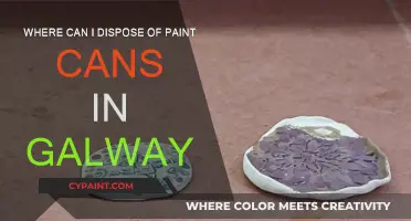 Galway Paint Disposal: Where and How to Dispose of Paint Cans