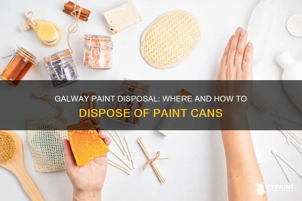 where can i dispose of paint cans in galway