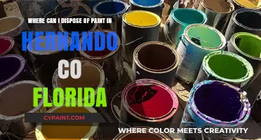 Eco-Friendly Paint Disposal Options in Hernando County, Florida