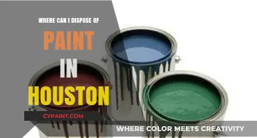 Eco-Friendly Paint Disposal Options in Houston: A Comprehensive Guide