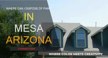 Safe Paint Disposal Options in Mesa, Arizona