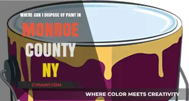 Eco-Friendly Paint Disposal Options in Monroe County, NY