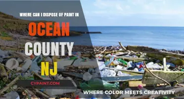 Eco-Friendly Paint Disposal Options in Ocean County, NJ