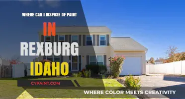 Eco-Friendly Paint Disposal Options in Rexburg, Idaho: A Guide