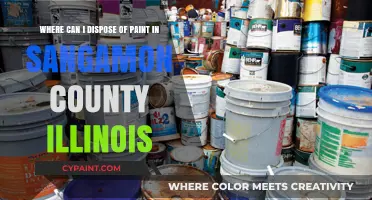 Eco-Friendly Paint Disposal Options in Sangamon County, Illinois
