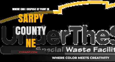 Eco-Friendly Paint Disposal Options in Sarpy County, NE