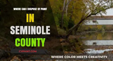 Eco-Friendly Paint Disposal Options in Seminole County: A Complete Guide