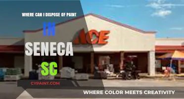 Eco-Friendly Paint Disposal Options in Seneca, SC: A Quick Guide