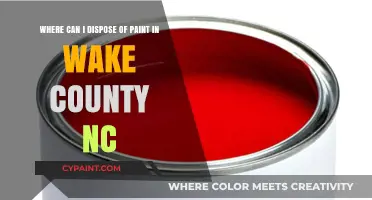 Eco-Friendly Paint Disposal Options in Wake County, NC
