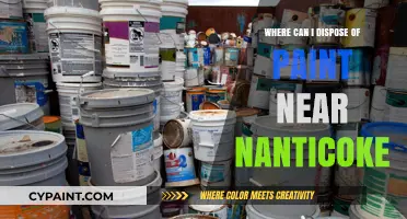 Where to Dispose of Paint Near Nanticoke: A Comprehensive Guide