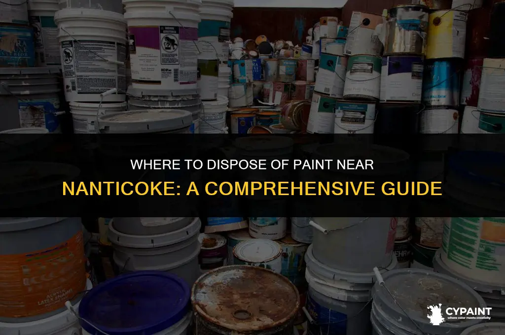 where can i dispose of paint near nanticoke