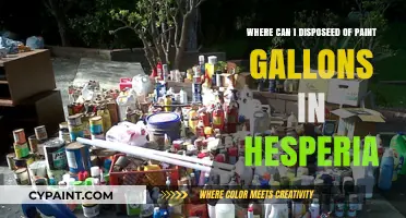 Eco-Friendly Paint Disposal Options in Hesperia: A Complete Guide