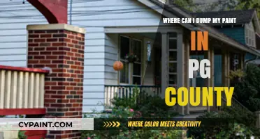 Eco-Friendly Paint Disposal Options in PG County: A Complete Guide