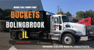 Eco-Friendly Paint Disposal Options in Bolingbrook, IL