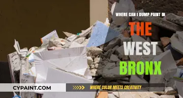 Eco-Friendly Paint Disposal Options in the West Bronx: A Guide