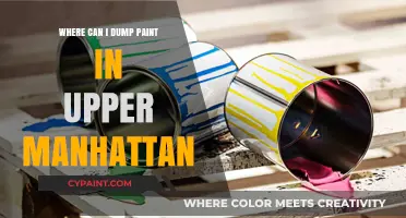 Eco-Friendly Paint Disposal Options in Upper Manhattan