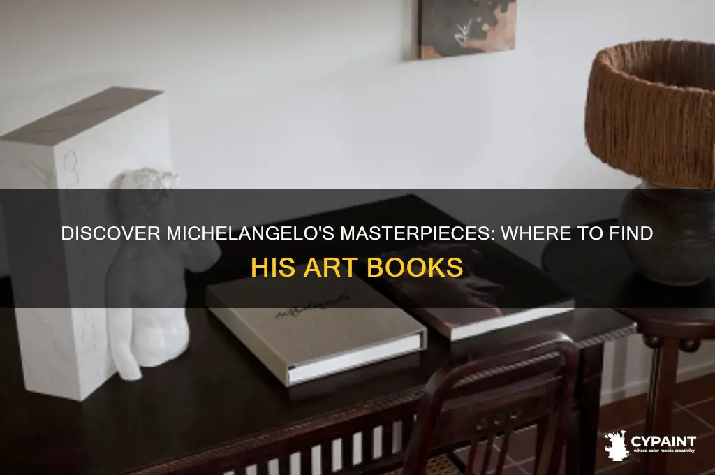 where can i find a book of michelangelo paintings