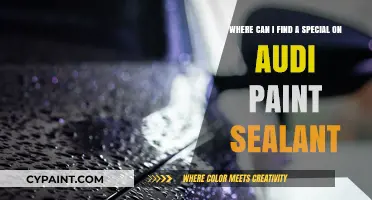 Revive Your Audi's Shine: Unbeatable Deals on Paint Sealant