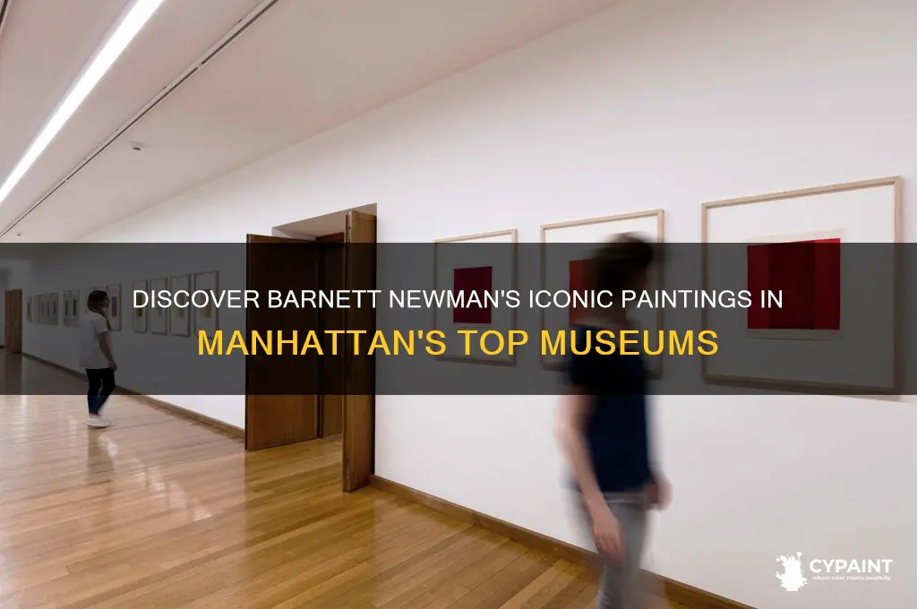 where can i find barnett newman
